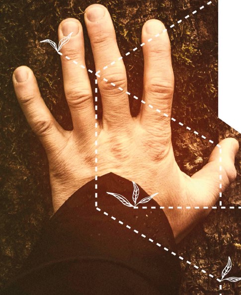 DESARROLLO DE SOLUCIONES TECNOLÓGICAS AVANZADAS PARA LA GESTIÓN INTEGRAL DEL CICLO PRODUCTIVO FORESTAL Y CUMPLIMIENTO DE LA DIRECTIVA EUTR SOBRE TRAZABILIDAD (TIMBER CHAIN)