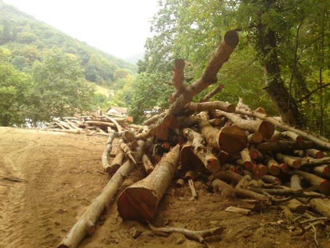 TIMBERTRACK. GRUPO OPERATIVO PARA EL DESARROLLO DE UN SISTEMA DE ETIQUETADO EN LA CADENA DE SUMINISTRO DE LA MADERA MONTE-INDUSTRIA